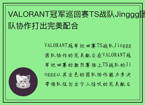 VALORANT冠军巡回赛TS战队Jinggg团队协作打出完美配合
