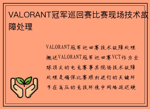 VALORANT冠军巡回赛比赛现场技术故障处理