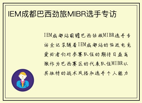 IEM成都巴西劲旅MIBR选手专访