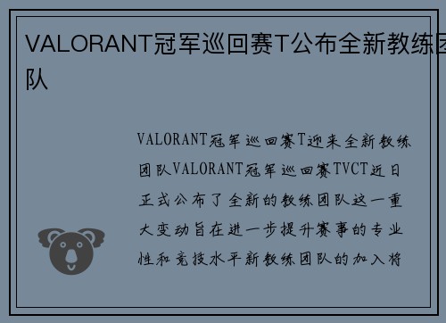 VALORANT冠军巡回赛T公布全新教练团队